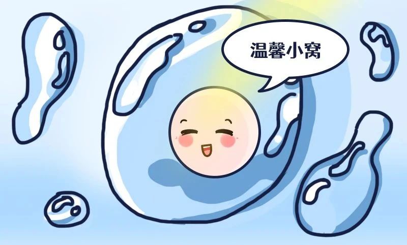 促排卵方案,年轻女性VS高龄女性该怎么选择?