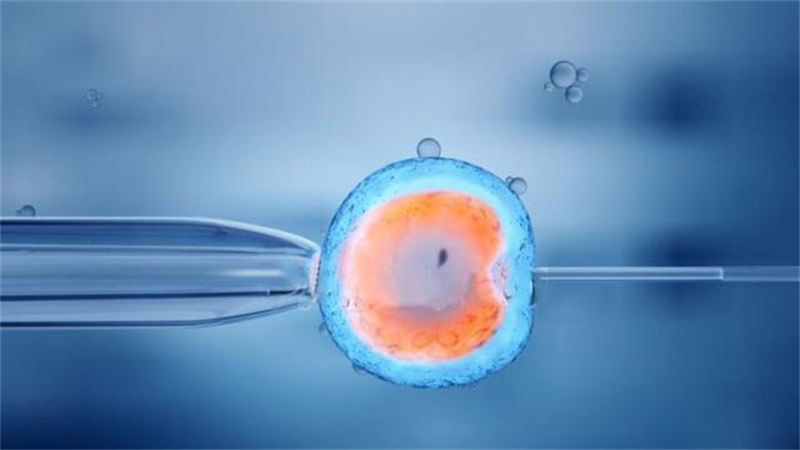 做试管只有一颗卵子,能成功吗?