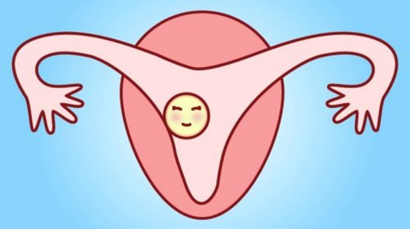 促排有利于女性增肥?